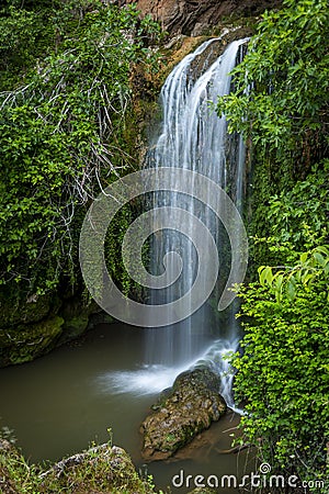 Streaming cascade water in green forest Stock Photo
